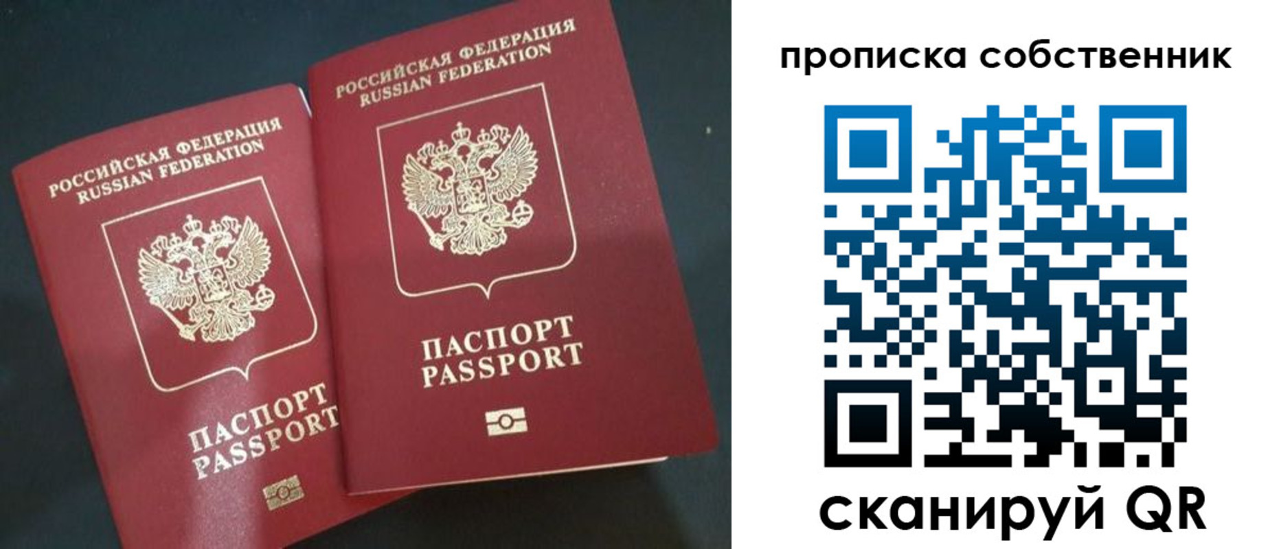 прописка гарантия в Железногорске